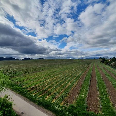 Weinseelig14 Landau in der Pfalz Exteriör bild