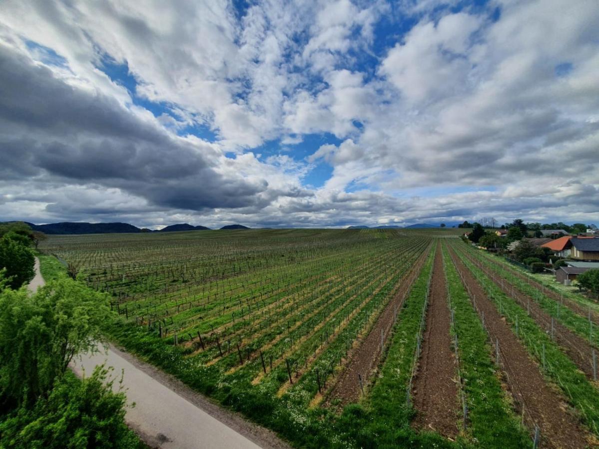 Weinseelig14 Landau in der Pfalz Exteriör bild